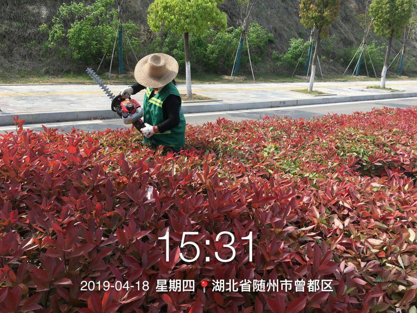 OLDSRC="W020200228471607339028.jpg"