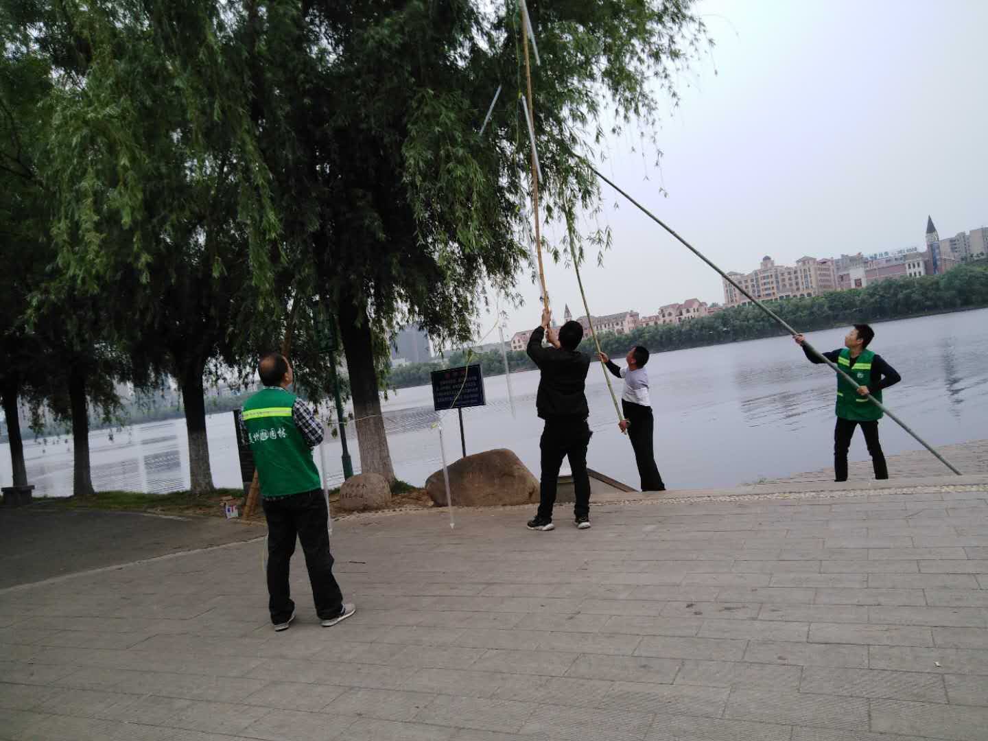 OLDSRC="W020200228471705182163.jpg"